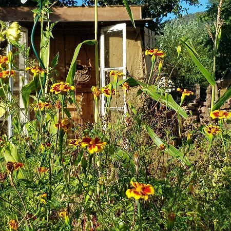 Bed and Breakfast Le Jardin Des Gouttes Rougegoutte Exterior foto
