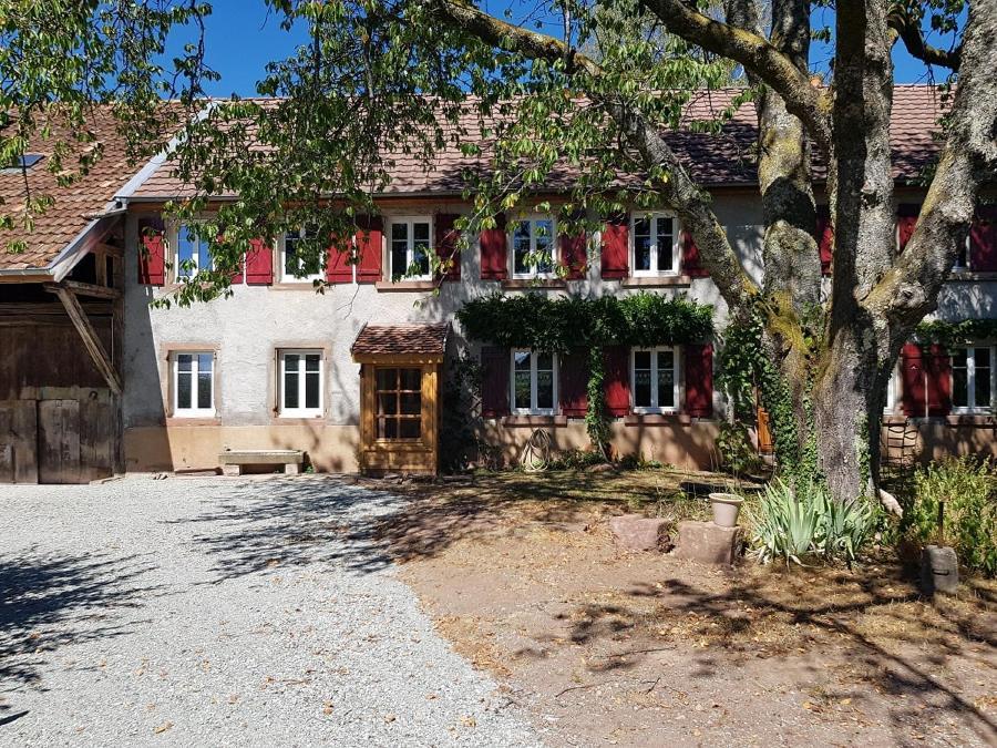 Bed and Breakfast Le Jardin Des Gouttes Rougegoutte Exterior foto